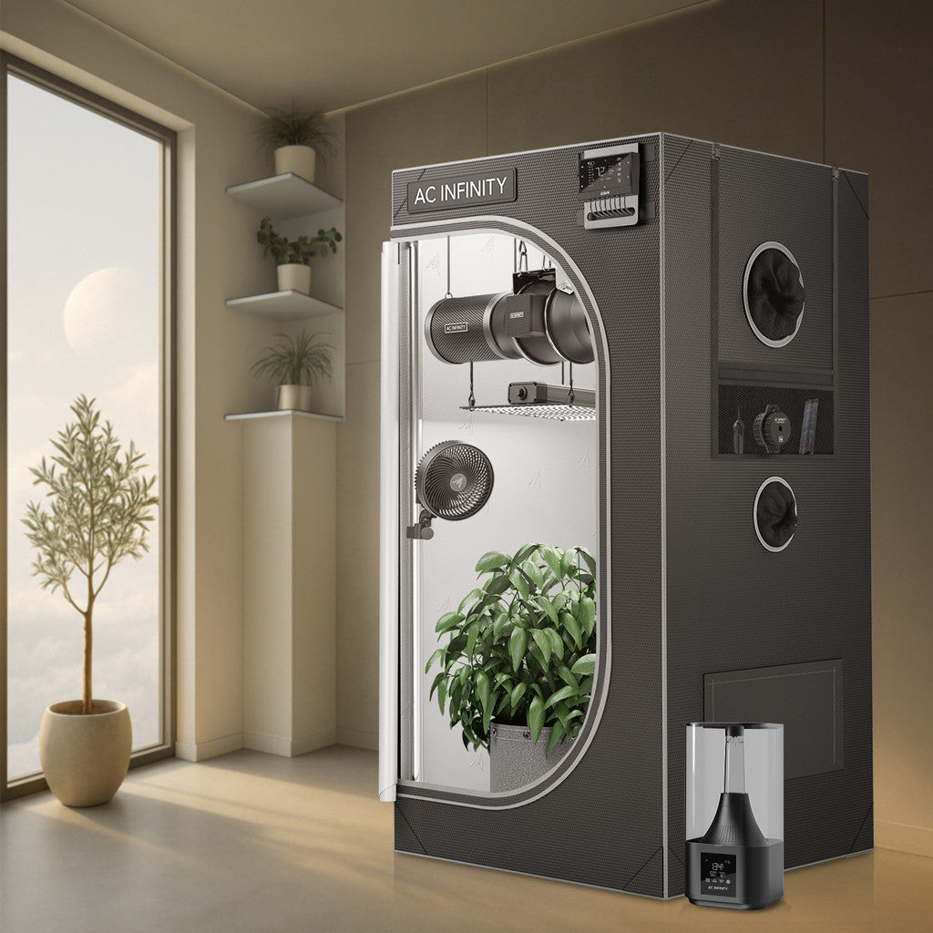 6 plant grow tent AC Infinity CLOUDLAB 816 Advance 10x5 — Grow Light Central Winning boxing gear set Fisting mit deutscher Blondine Größen Mützen NEU:60 cm and sometimes even IR