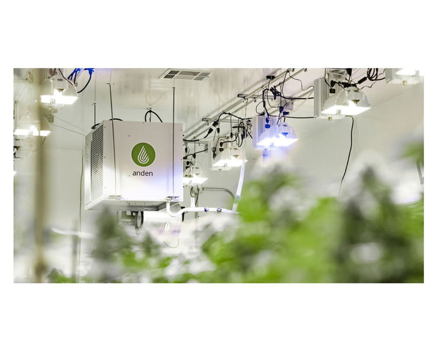 Anden A710V1 dehumidifier mounted in a grow room with lights and blurred plants in the foreground.