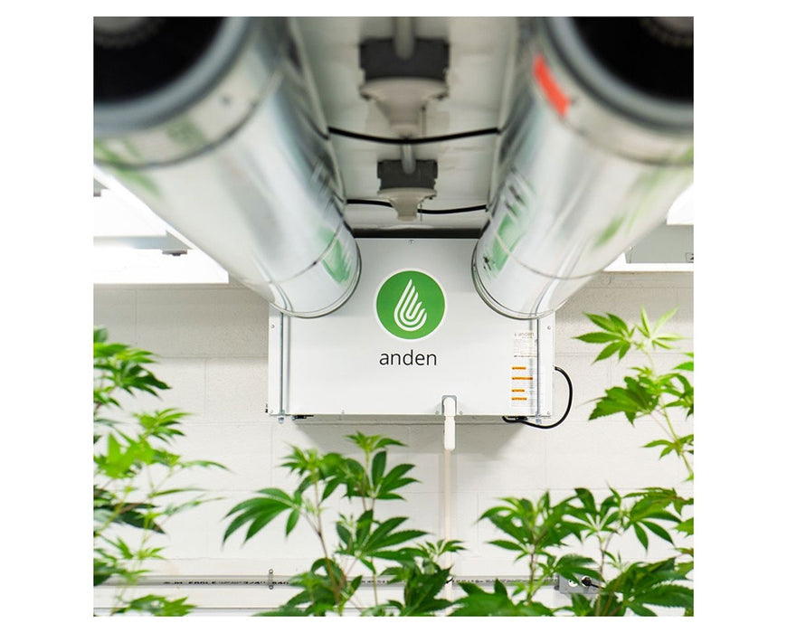 Anden A320V3 dehumidifier mounted on the ceiling with ductwork and cannabis plants visible in the grow space.