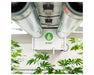 Anden A320V3 dehumidifier mounted on the ceiling with ductwork and cannabis plants visible in the grow space.