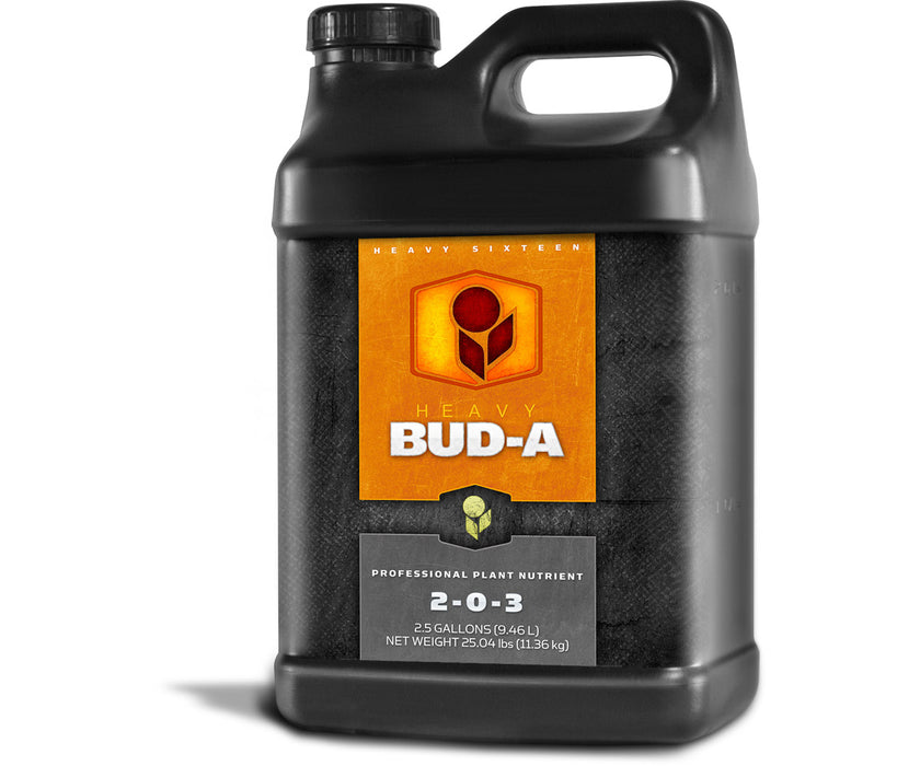 HEAVY 16 Bud A 2.5 Gallons