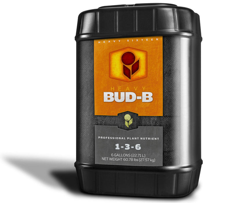 HEAVY 16 Bud B 6 Gallons