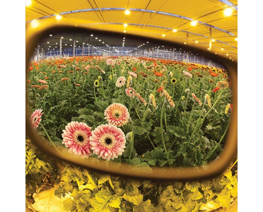 Greenhouse scene viewed through Method Seven HPS lenses, showing color correction of HPS lighting.