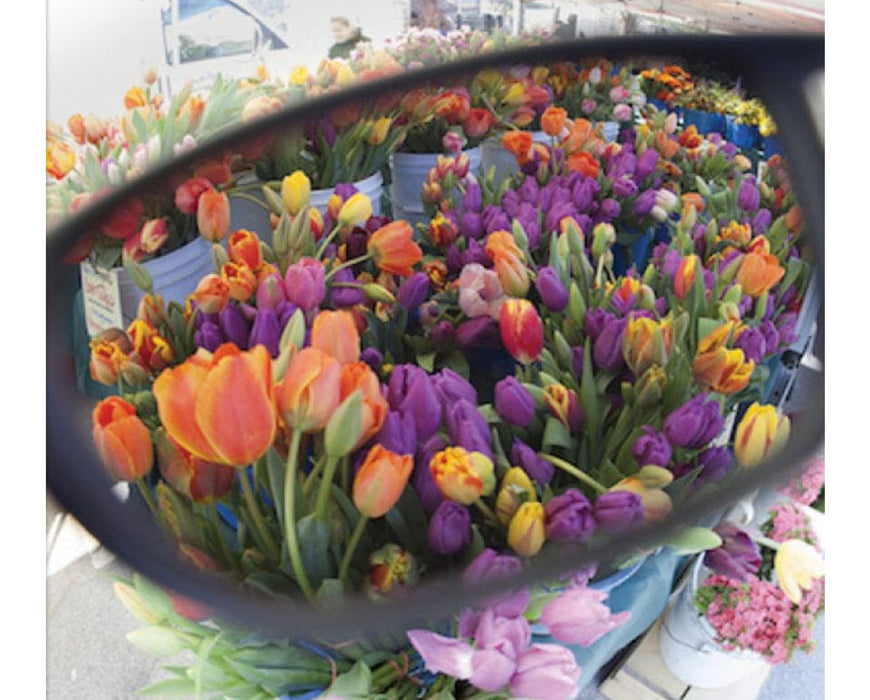 View through Method Seven Sun Polarized glasses revealing true-to-color flowers under bright sunlight.