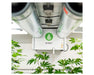 Anden A210V1 dehumidifier mounted on the ceiling with ductwork and cannabis plants visible in the grow space.