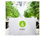 Anden A320V1 dehumidifier in a commercial grow room, positioned on the floor with cannabis plants in the background.